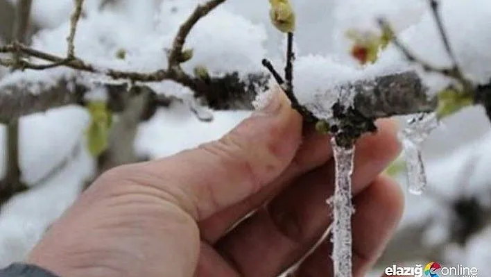Meteorolojiden don ve yağış uyarısı