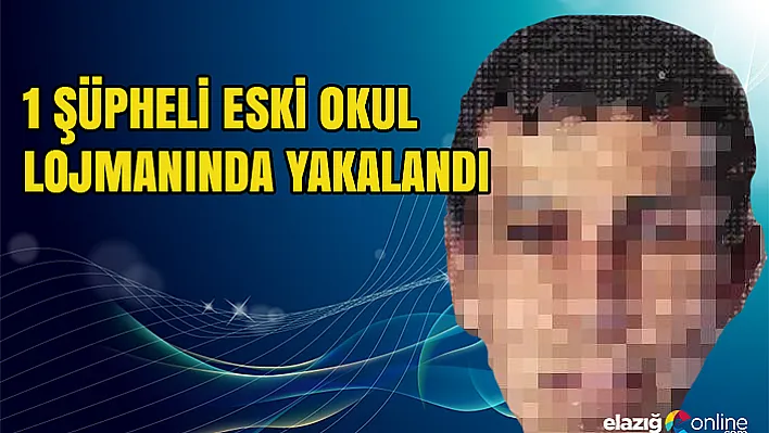 Elazığ'da DEAŞ operasyonu