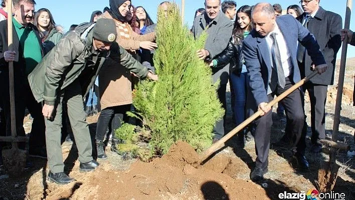 Hayrettin Karaca anısına 200 fidan dikildi
