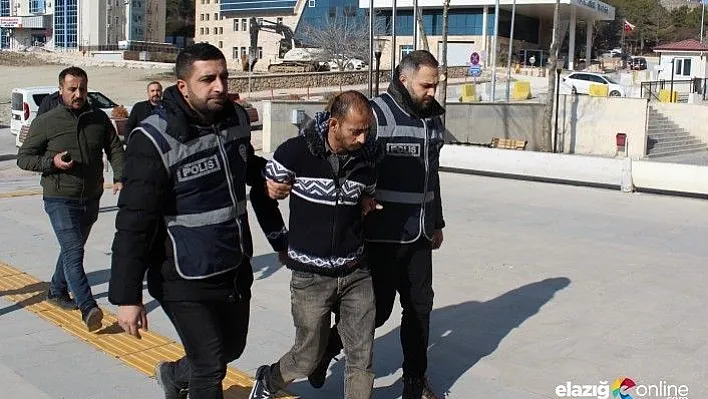 Ağabeyini öldüren şahıs çıkarıldığı mahkemece tutuklandı