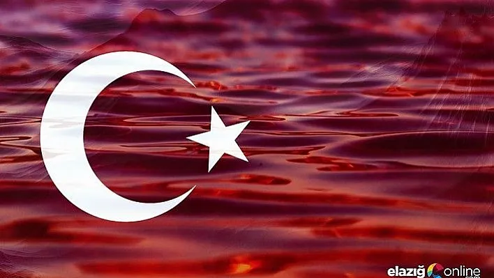 Elazığlı Esnaflar Dükkanlarını Türk Bayraklarıyla Donattı