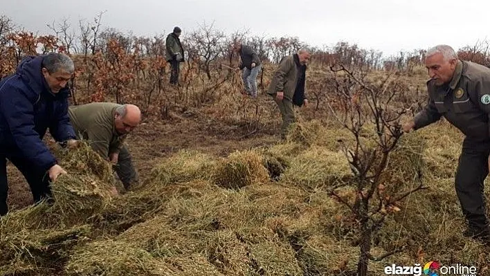Yabani hayvanlar için doğaya yem bırakıldı