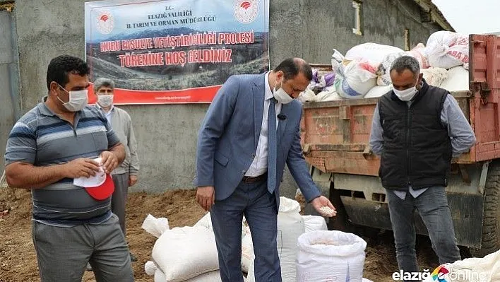 Bermaz Ovası'nda &quotGezin Fasulyesi" için tohum desteği