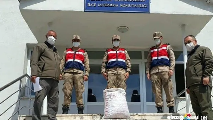 Kaçak salep soğanı toplayan iki kişiye 153 bin TL ceza!