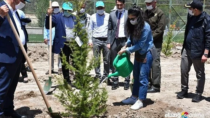 Elazığ'da sağlık çalışanları için hatıra ormanı oluşturuldu