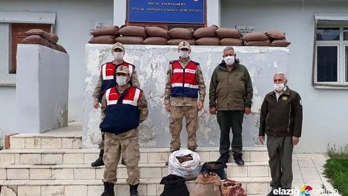 Kaçak salep soğanı toplayan 6 kişiye 461 bin TL ceza!