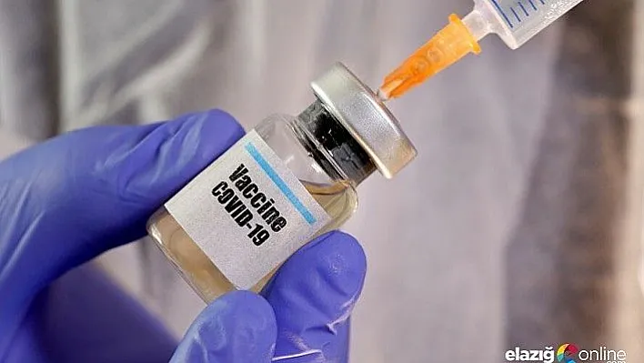 Koronavirüs aşısı insan vücudunda olumlu sonuç verdi!