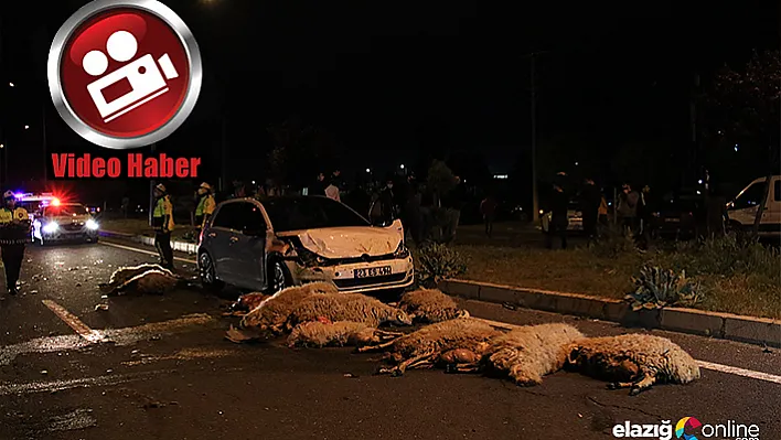 Yarış yapan 2 otomobil 30 koyunu telef etti