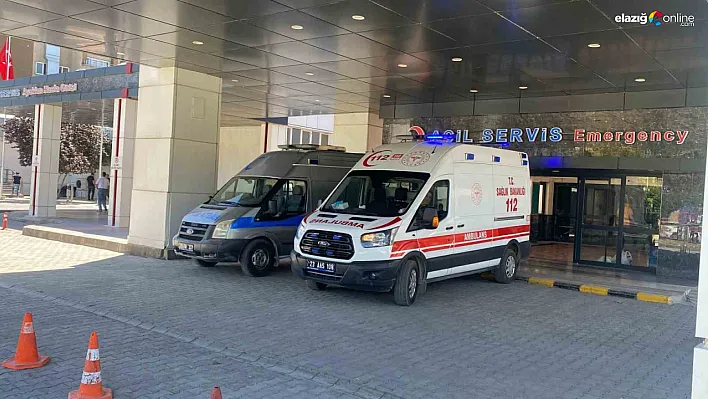 Elazığ'da Korkutan Kene Vakası: Ahırda Süt Sağarken Hastanelik Oldu!