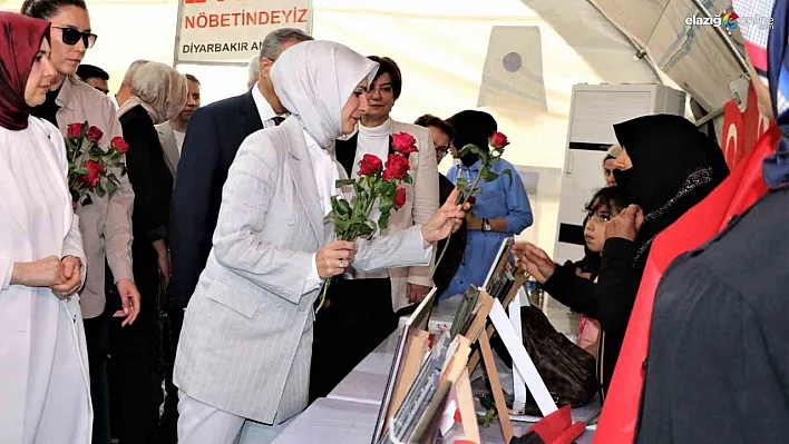 Aile ve Sosyal Hizmetler Bakanı Göktaş Diyarbakır'da