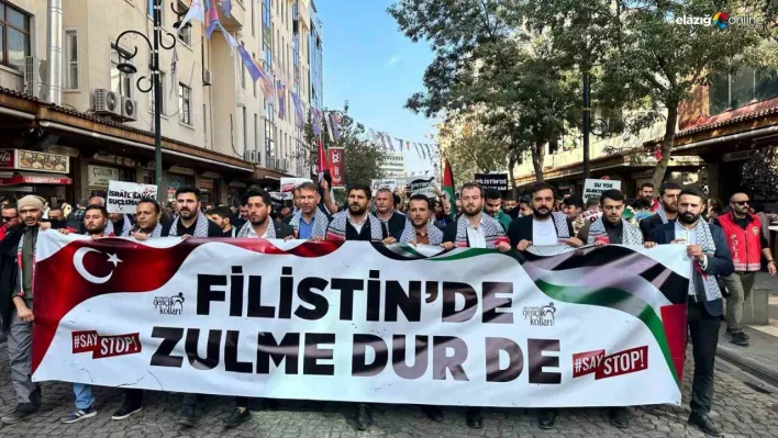 Diyarbakır'da AK Partili gençlerden 'SayStop' yürüyüşü!