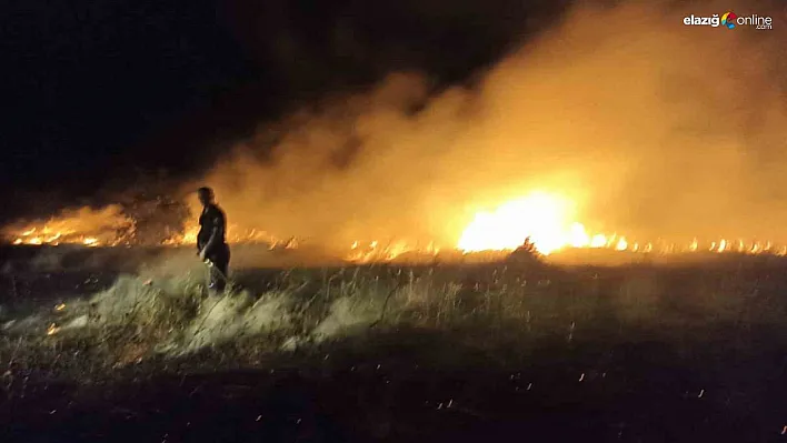 Akçadağ'da bahçe ve sazlık yangını: 25 Kayısı ağacı zarar gördü
