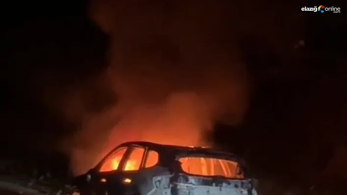 Alev alev yanan otomobil kullanılamaz hale geldi