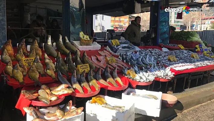 Artan maliyetler balık fiyatlarına olumsuz yansıdı