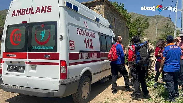 Ayı saldırısından elindeki sopayla kurtuldu