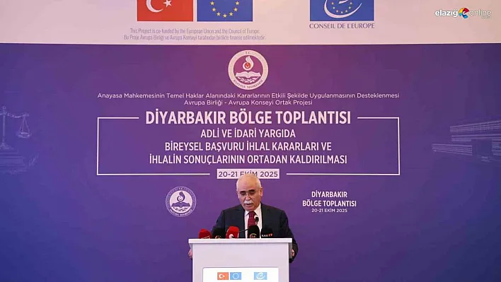 AYM'ye 13 yılda 702 bin bireysel başvuru yapıldı