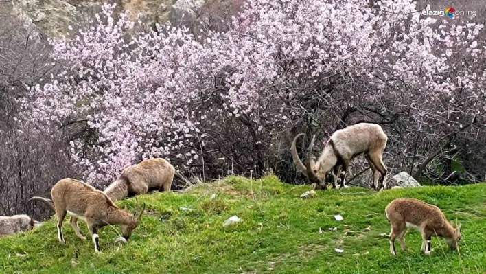 Aynı il iki farklı mevsim