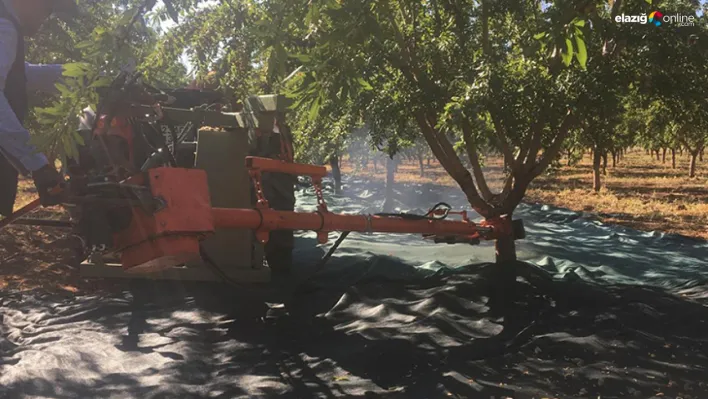 Badem üreticilerine müjde! Elazığ'da geliştirilen makine ile hasat artık daha kolay