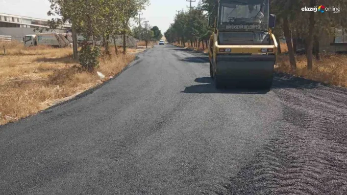 Bağlar Belediyesi, yol ve asfalt çalışmalarını sürdürüyor