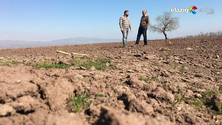 Baraj sahasında tarım yapan çiftçiler endişeli