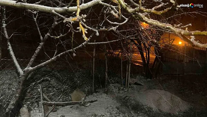 Baskil ilçesinde kar yağışı etkili oldu