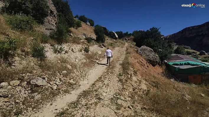 Tunceli'de kaçan kurbanını bulmak için 3 gündür arazi arazi geziyor