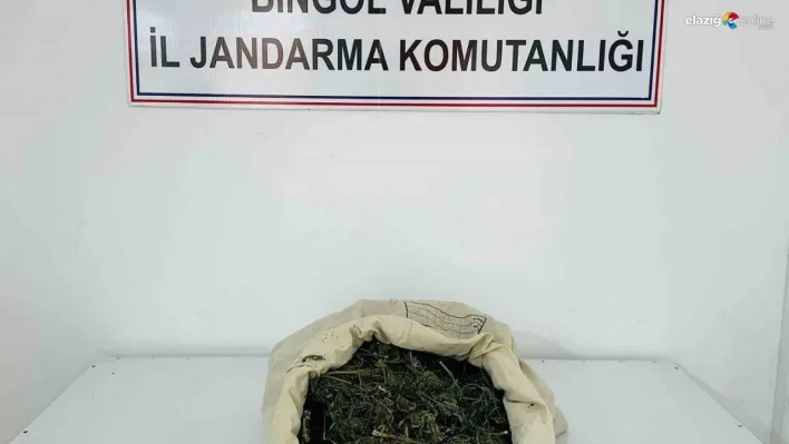 Bingöl'de 1 kilo 975 gram esrar ele geçirildi