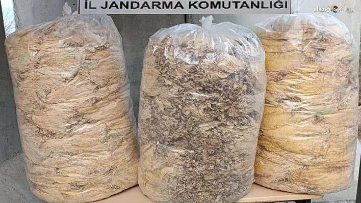 Bingöl'de 150 kilo yaprak tütün ele geçirildi