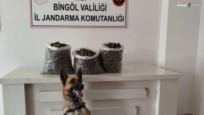 Bingöl'de 4,5 kilo esrar ele geçirildi