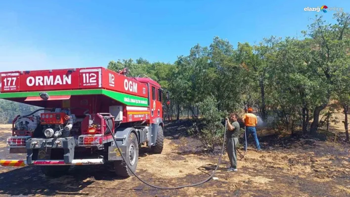 Bingöl'de 6 bölgede çıkan yangınlar söndürüldü