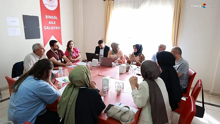Bingöl'de Aile Çalıştayı düzenlendi