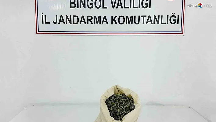 Bingöl'de aranan 2 şahıs yakalandı