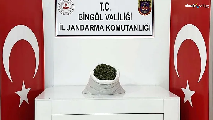 Bingöl'de araziye gömülü 12 kilo 550 gram esrar ele geçirildi