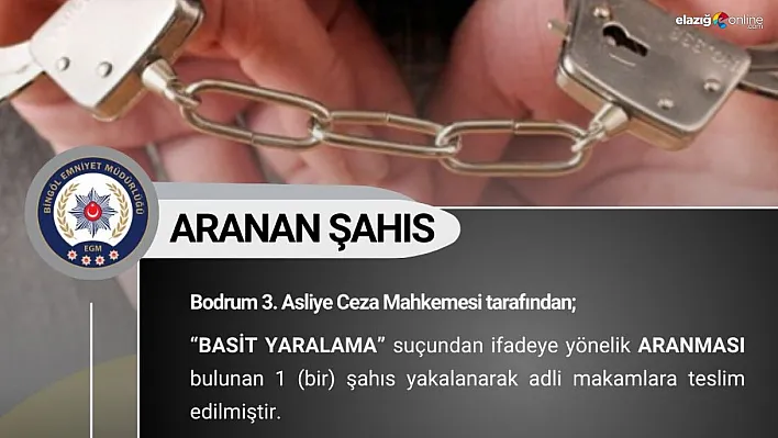 Bingöl'de çeşitli suçlardan aranan 11 kişi yakalandı