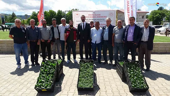 Bingöl'de çiftçiye 390 bin fide dağıtıldı