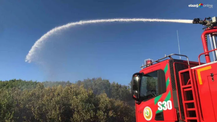 Bingöl'de çıkan orman yangını büyümeden söndürüldü