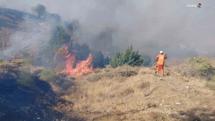 Bingöl'de çıkan orman yangını söndürüldü