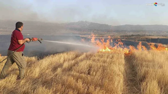 Bingöl'de çıkan ot yangını ekipler tarafından söndürüldü