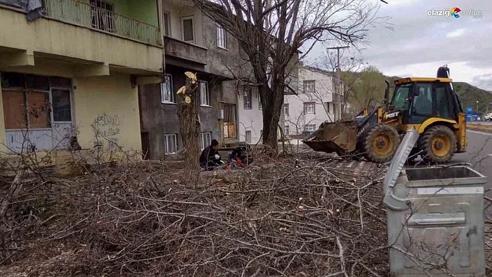 Bingöl'de fırtına nedeniyle devrilen ağaçlar, belediye ekiplerince kaldırılıyor