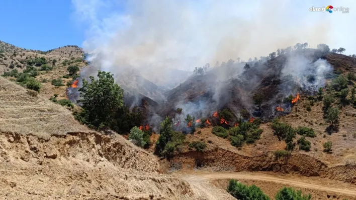 Bingöl'de iki ayrı ilçedeki orman yangınları söndürüldü