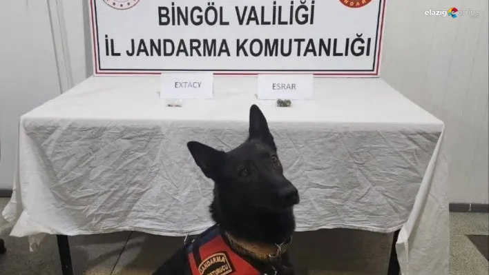 Bingöl'de jandarma ekipler suçlulara göz açtırmıyor