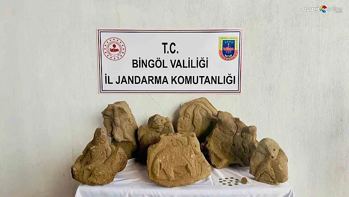 Bingöl'de jandarma ekipleri eski eser ele geçirdi