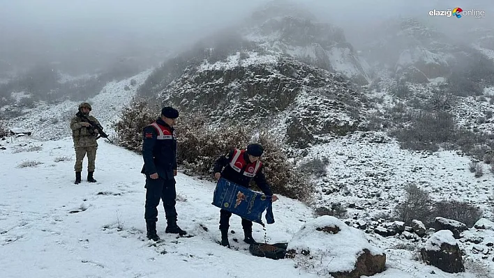 Bingöl'de jandarma ekipleri hayvanlar için doğaya yem bıraktı