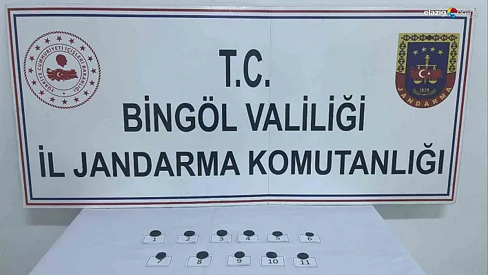 Bingöl'de jandarmanın dikkati tarihi eser kaçakçılığını önledi