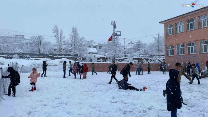 Bingöl'de kar yağışı nedeniyle tüm okullar tatil edildi