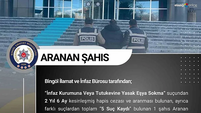 Bingöl'de kesinleşmiş hapis cezası bulunan 2 şüpheli tutuklandı