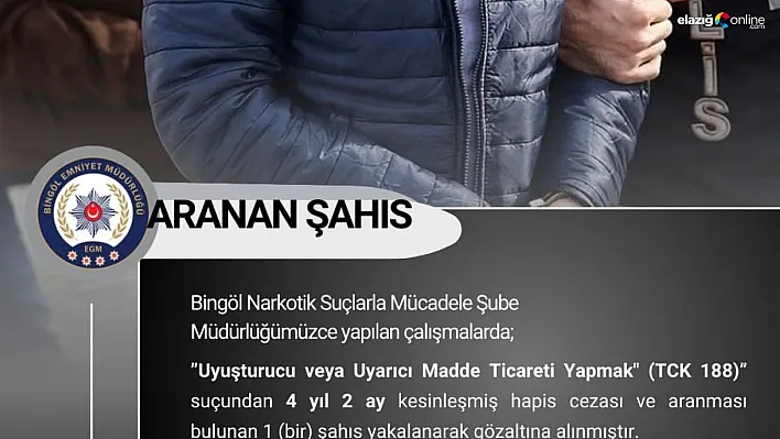 Bingöl'de kesinleşmiş hapis cezası bulunan şüpheli yakalandı