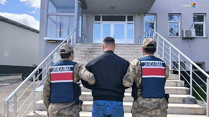 Bingöl'de kesinleşmiş hapis cezası bulunan şüpheli yakalandı