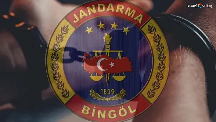 Bingöl'de kesinleşmiş hapis cezası bulunan zanlı yakalandı