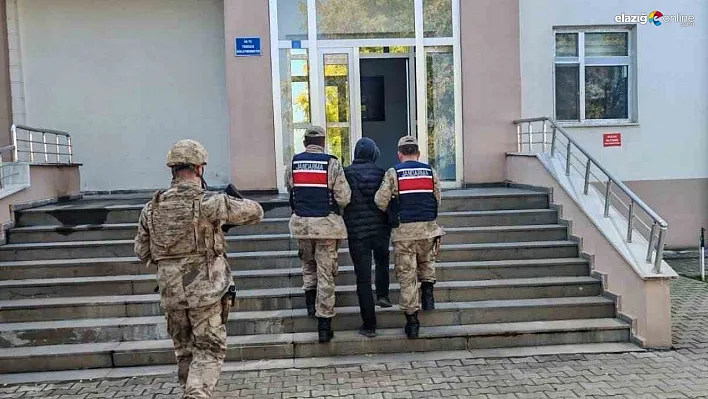 Bingöl'de kesinleşmiş hapis cezasıyla aranan 2 şüpheli yakalandı